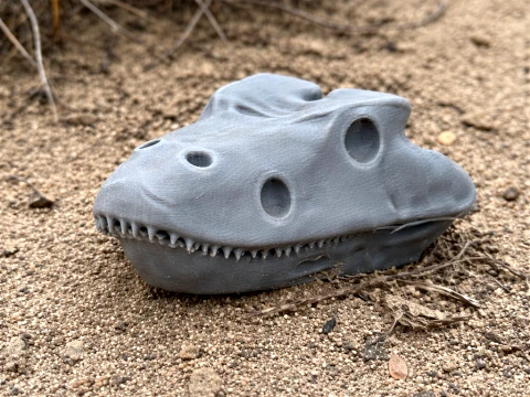 Eryops Kafatası 3D Model