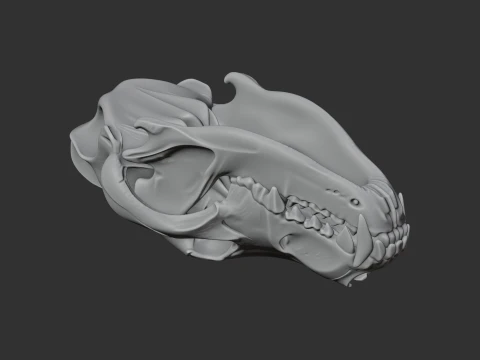 Eurasian Wolf Skull 3D Model