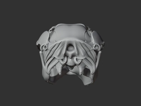 Euro Wallaroo Skull 3D Model