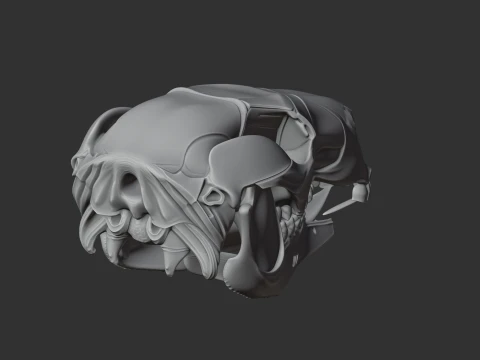 Euro Wallaroo Skull 3D Model