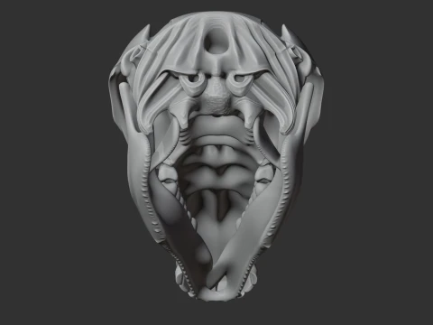 Euro Wallaroo Skull 3D Model