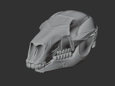 Euro Wallaroo Skull 3D Model