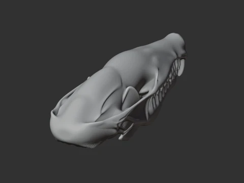 European Mole Skull 3D Model