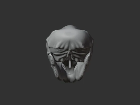 European Mole Skull 3D Model