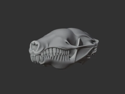 European Mole Skull 3D Model