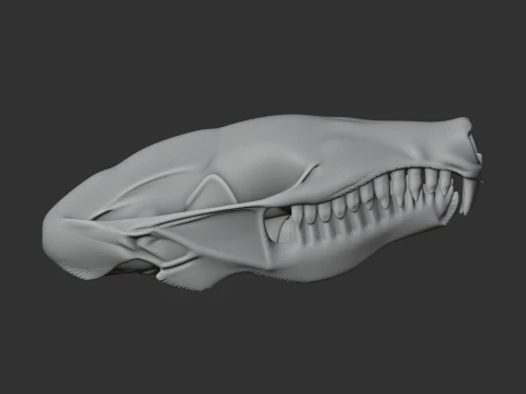 European Mole Skull 3D Model
