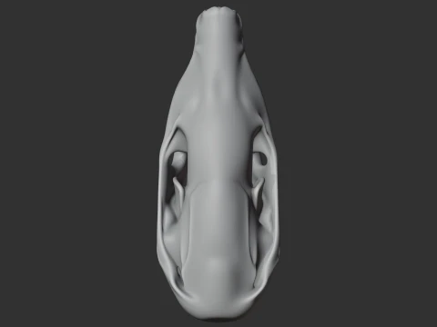 European Mole Skull 3D Model