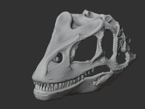 Fasolasuchus Skull 3D Model