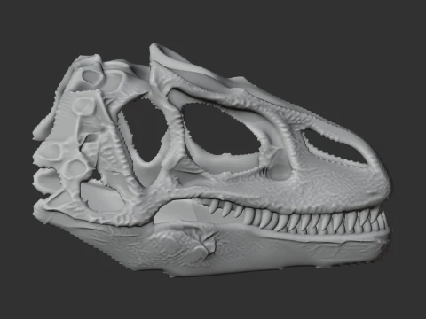 Fasolasuchus Skull 3D Model