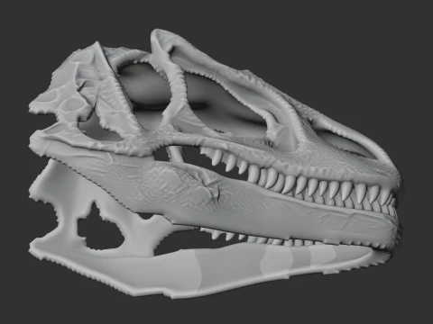 Fasolasuchus Skull 3D Model