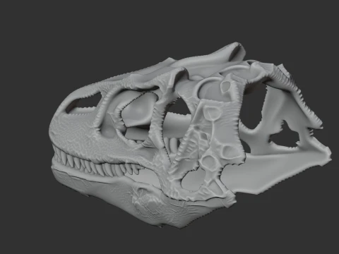Fasolasuchus Skull 3D Model