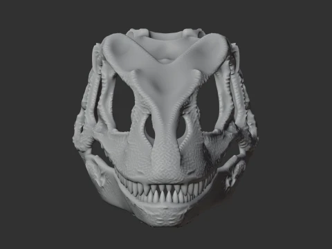 Fasolasuchus Skull 3D Model