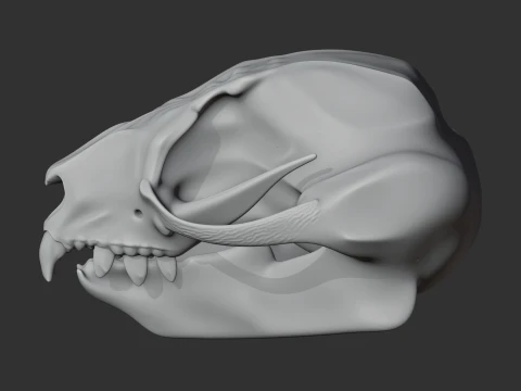 Feathertail Glider Skull 3D Model
