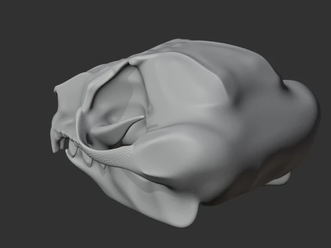 Feathertail Glider Skull 3D Model