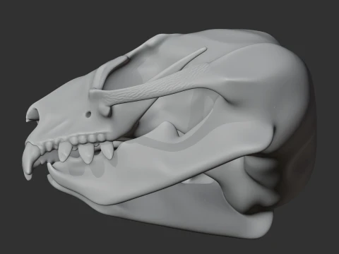 Feathertail Glider Skull 3D Model