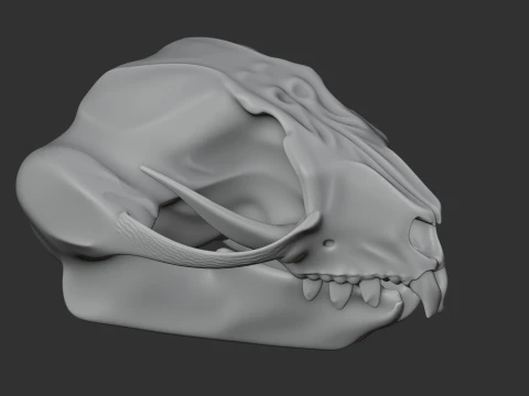 Feathertail Glider Skull 3D Model