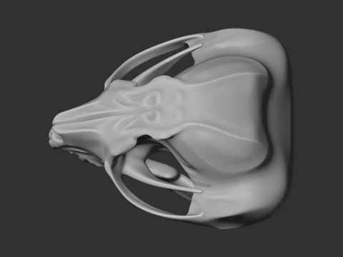 Feathertail Glider Skull 3D Model