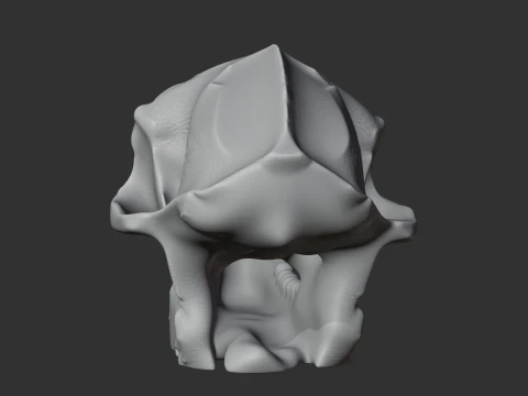 Aegyptopithecus Skull 3D Model