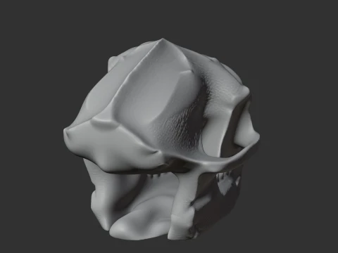 Aegyptopithecus Skull 3D Model