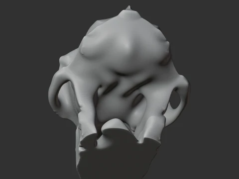 Aegyptopithecus Skull 3D Model