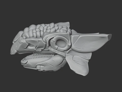 Ankylosaurus Skull 3D Model