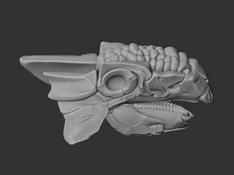 Ankylosaurus Skull 3D Model
