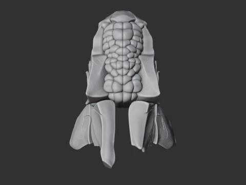 Ankylosaurus Skull 3D Model