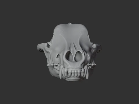 Arctic Wolf Skull 3D Model