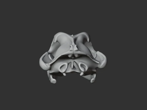 Arctic Wolf Skull 3D Model