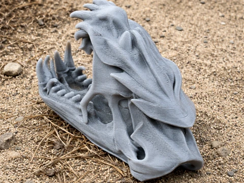 Cr&acirc;ne de marlin de l'Atlantique Modèle 3D