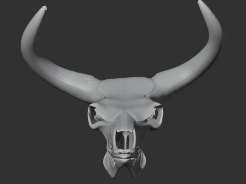 Aurochs Skull 3D Model