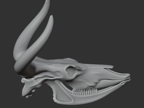 Aurochs Skull 3D Model