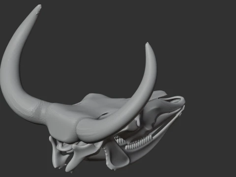 Aurochs Skull 3D Model