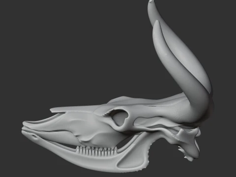 Aurochs Skull 3D Model