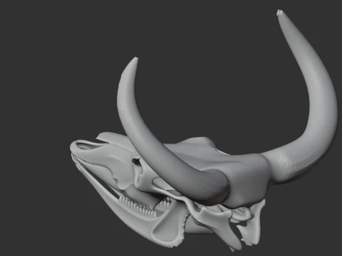 Aurochs Skull 3D Model