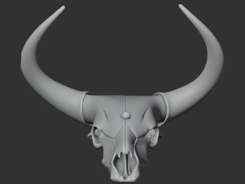 Banteng Skull 3D Model