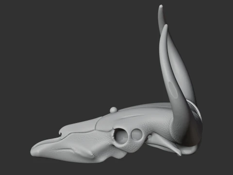 Banteng Skull 3D Model