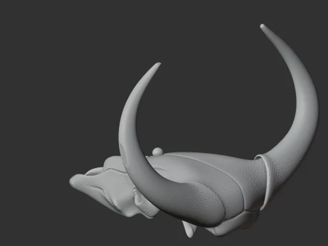 Banteng Skull 3D Model