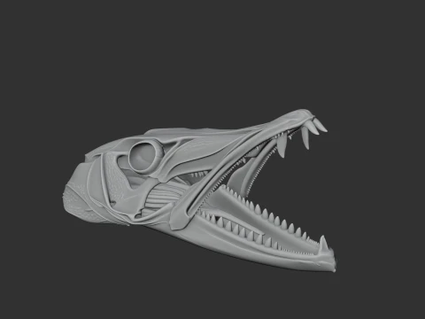 Barracuda Skull 3D Model