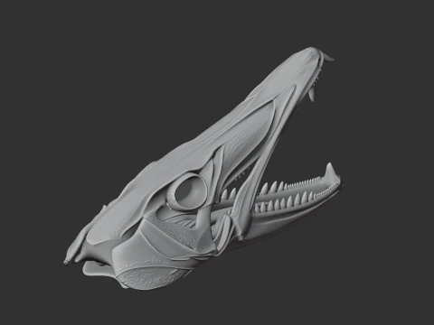 Barracuda Skull 3D Model