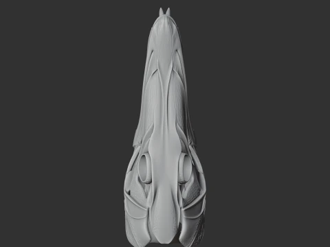 Barracuda Skull 3D Model
