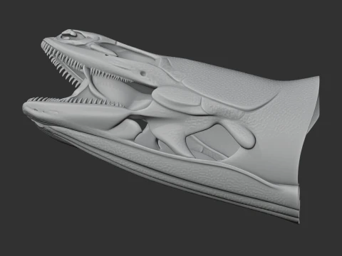 Bichir Ornate Skull 3D Model