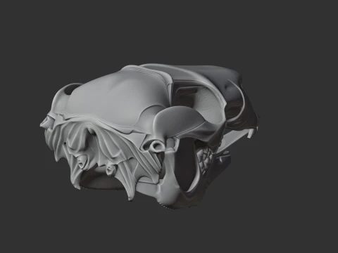 Black Wallaroo Skull 3D Model