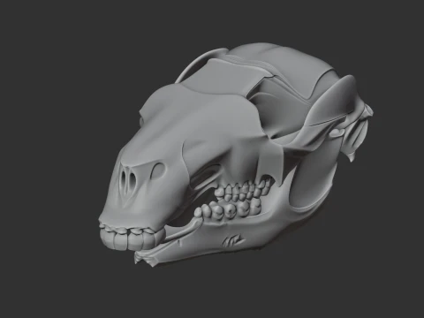 Black Wallaroo Skull 3D Model