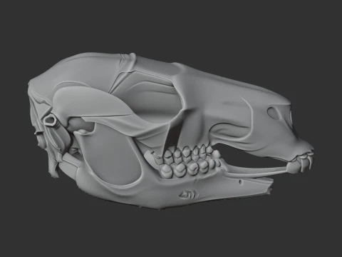 Black Wallaroo Skull 3D Model