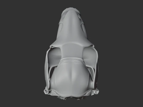 Black Wallaroo Skull 3D Model