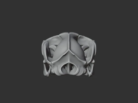Black-backed Jackal Skull 3D Model