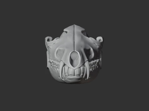 Black-backed Jackal Skull 3D Model