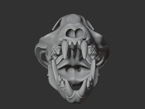 Bobcat Skull 3D Model