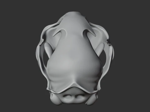 Bobcat Skull 3D Model